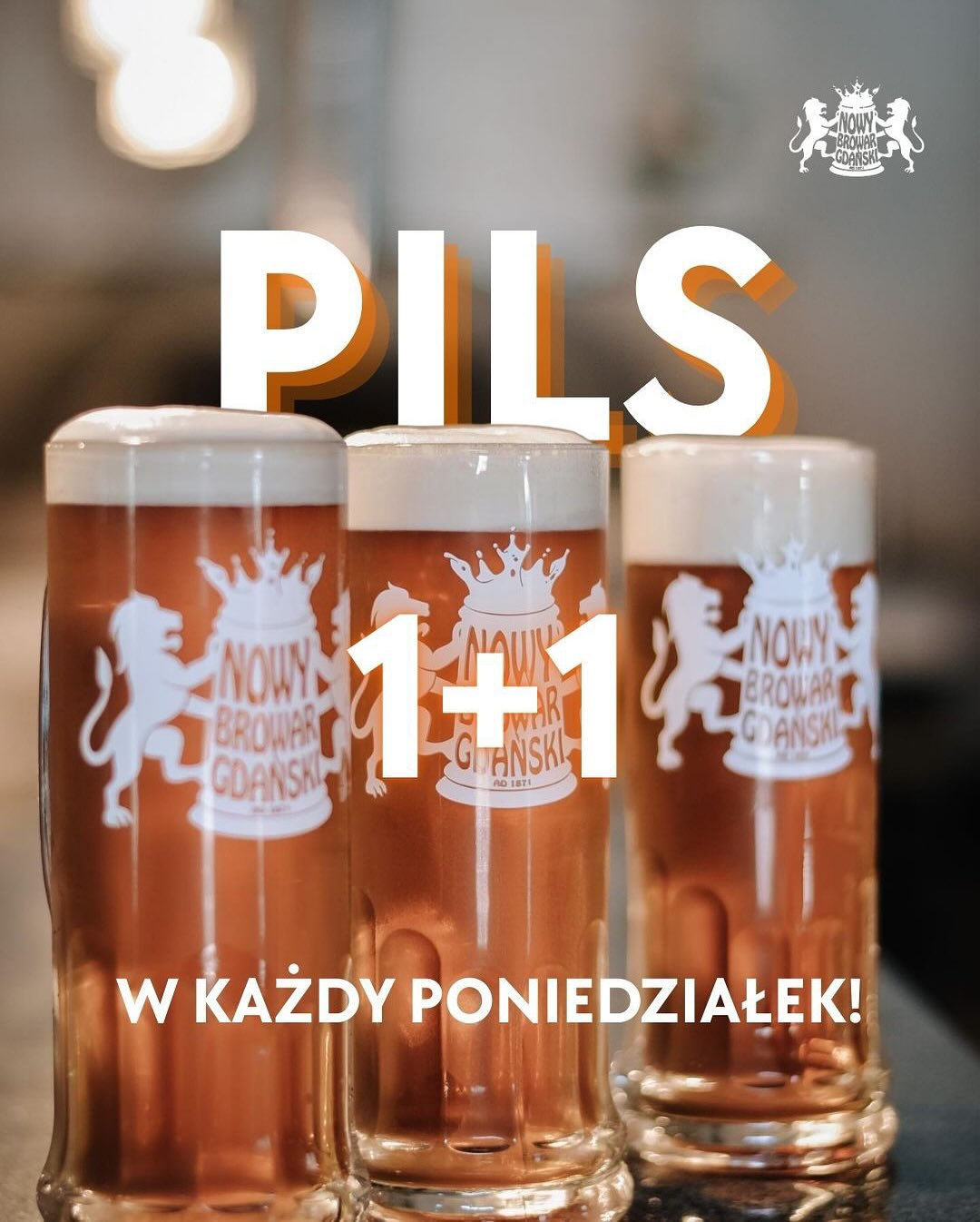 PIWO PILS 1+1